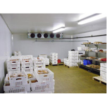 Walk in Cooler/Cold Store/Refrigerator for Farm, Factory, Wholesale